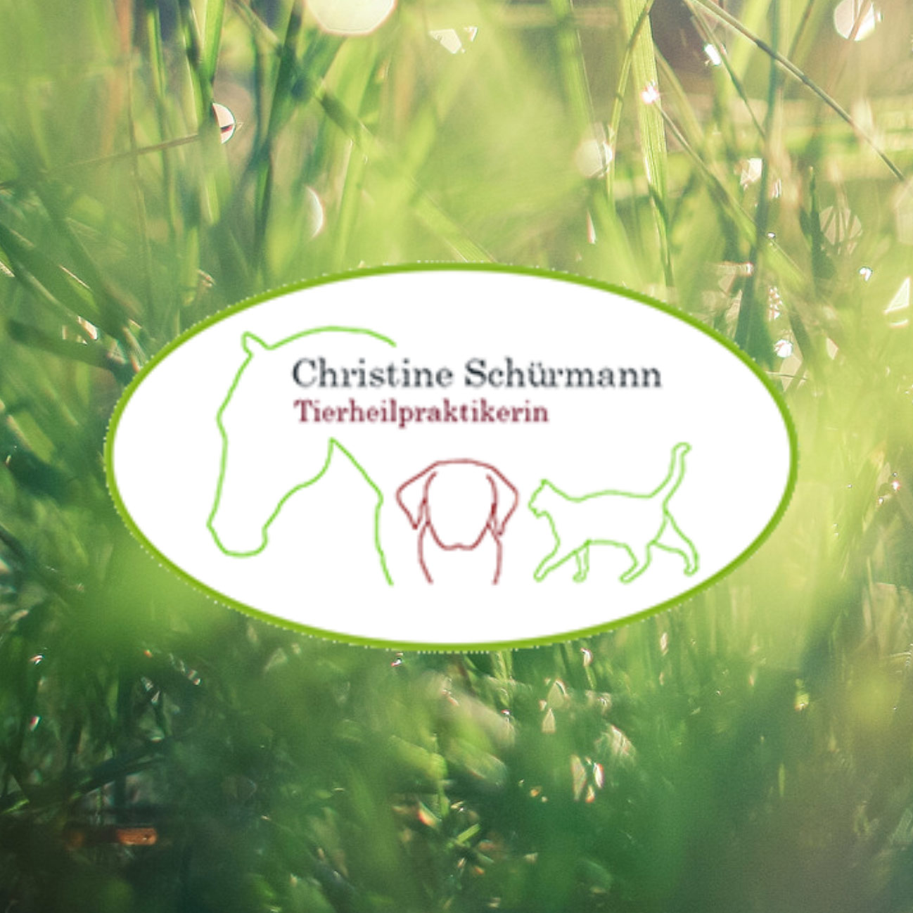 Christine_Schuermann text